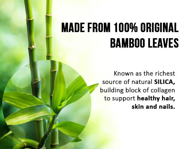 Bamboo Leaf Liquid Extract - 12oz Bottle - Kosher - Hair & Skin Support - By Herbal Goodness Liquid Extract Herbal Goodness 