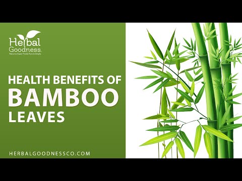 Bamboo Leaf Extract- Liquid 12oz - Bone, Hair, Skin & Nails - Herbal Goodness